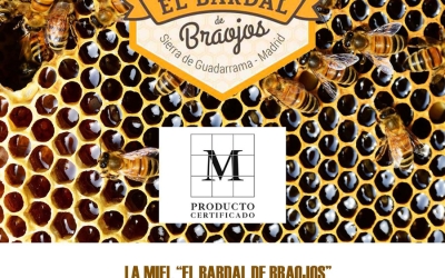 Miel El Bardal de Braojos, producto certificado