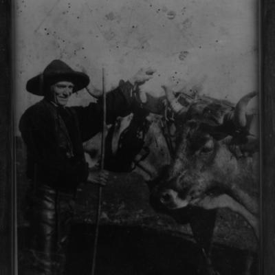 Abuelo Tomillo Con Yunta 1888